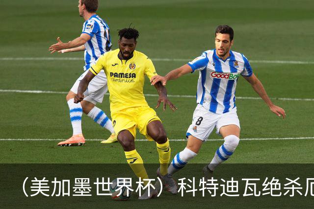 （美加墨世界杯）科特迪瓦绝杀厄瓜多尔 瑞典5:1大胜突尼斯